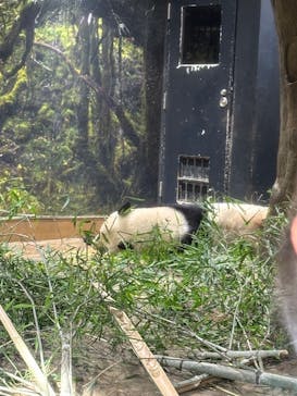 恩賜上野動物園に投稿された画像（2026/1/28）