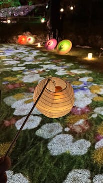 ぎふ灯り物語 ２０２６に投稿された画像（2026/1/28）