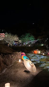 ぎふ灯り物語 ２０２６に投稿された画像（2026/1/28）