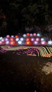 ぎふ灯り物語 ２０２６に投稿された画像（2026/1/28）