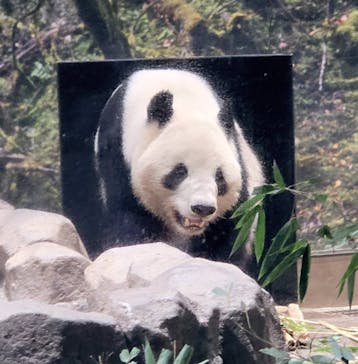 恩賜上野動物園に投稿された画像（2026/1/28）