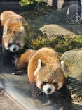 恩賜上野動物園に投稿された画像（2026/1/29）
