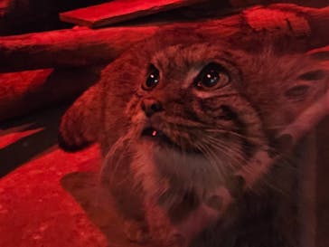 恩賜上野動物園に投稿された画像（2026/1/28）