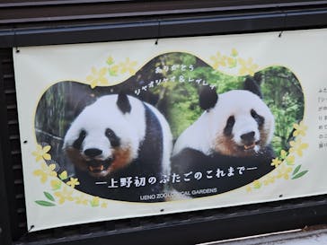 恩賜上野動物園に投稿された画像（2026/1/28）