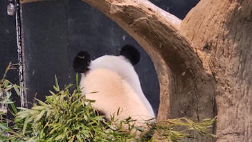 恩賜上野動物園に投稿された画像（2026/1/28）