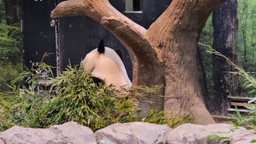 恩賜上野動物園に投稿された画像（2026/1/28）