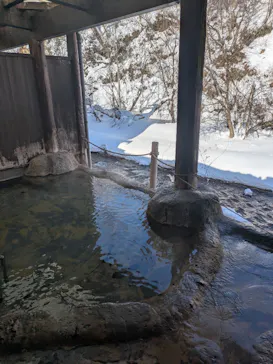 鉛温泉　藤三旅館に投稿された画像（2026/1/28）