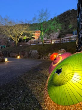 ぎふ灯り物語 ２０２６に投稿された画像（2026/1/28）