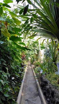 熱川バナナワニ園に投稿された画像（2026/1/28）