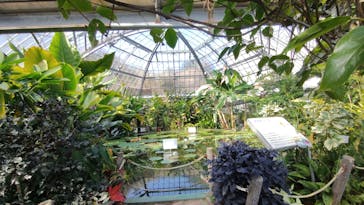 熱川バナナワニ園に投稿された画像（2026/1/28）