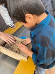 Discovery Worldに投稿された画像（2026/1/29）