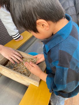 Discovery Worldに投稿された画像（2026/1/29）