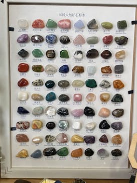 Discovery Worldに投稿された画像（2026/1/29）