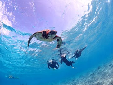 CHAMP TOUR　宮古島に投稿された画像（2026/1/29）