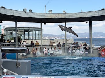 大分マリーンパレス水族館 「うみたまご」に投稿された画像（2026/1/29）
