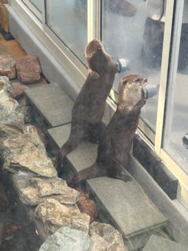 大分マリーンパレス水族館 「うみたまご」に投稿された画像（2026/1/29）