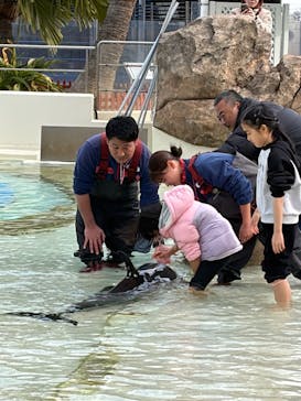 大分マリーンパレス水族館 「うみたまご」に投稿された画像（2026/1/29）