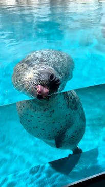 大分マリーンパレス水族館 「うみたまご」に投稿された画像（2026/1/29）