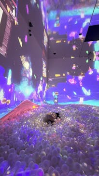 リトルプラネット ららぽーと立川立飛に投稿された画像（2026/1/29）