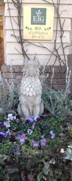 横浜イングリッシュガーデンに投稿された画像（2026/1/29）