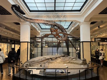 国立科学博物館に投稿された画像（2026/1/29）