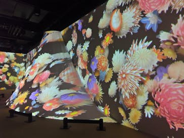 動き出す浮世絵展 OSAKAに投稿された画像（2026/1/29）