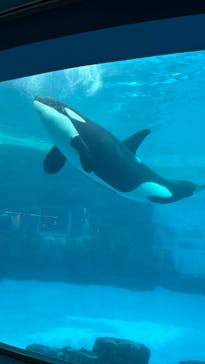 名古屋港水族館に投稿された画像（2026/1/29）