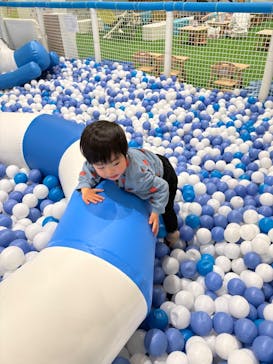 キッズランドUS 大阪和泉店に投稿された画像（2026/1/29）