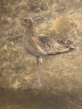 スウェーデン絵画展 北欧の光、日常のかがやき(東京都美術館)に投稿された画像（2026/1/29）