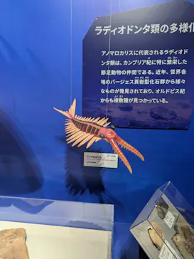 特別展「大絶滅展―生命史のビッグファイブ」に投稿された画像（2026/1/29）