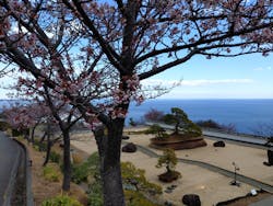 ACAO FORESTに投稿された画像（2026/1/29）