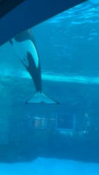 名古屋港水族館に投稿された画像（2026/1/29）