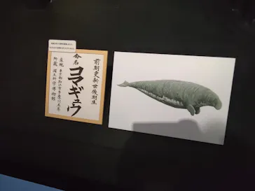 特別展「大絶滅展―生命史のビッグファイブ」に投稿された画像（2026/1/29）