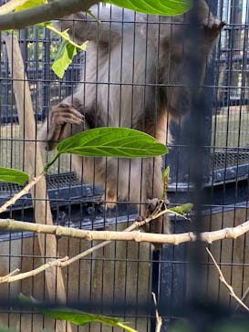 沖縄こどもの国に投稿された画像（2026/1/29）