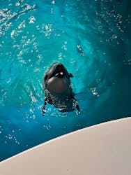 城崎マリンワールドに投稿された画像（2026/1/29）