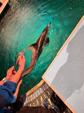 城崎マリンワールドに投稿された画像（2026/1/29）