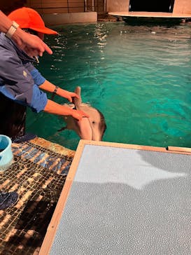 城崎マリンワールドに投稿された画像（2026/1/29）