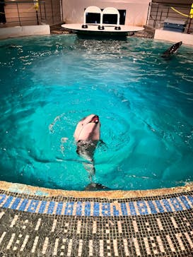 城崎マリンワールドに投稿された画像（2026/1/29）