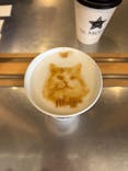 Cat Café MOFF SHIMINT HIROSHIMA店に投稿された画像（2026/1/29）