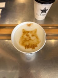 Cat Café MOFF SHIMINT HIROSHIMA店に投稿された画像（2026/1/29）