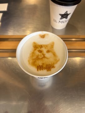 Cat Café MOFF SHIMINT HIROSHIMA店に投稿された画像（2026/1/29）