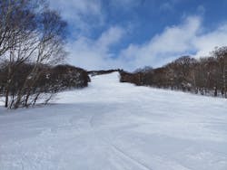 網張温泉スキー場に投稿された画像（2026/1/29）