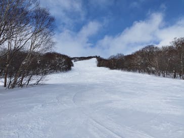 網張温泉スキー場に投稿された画像（2026/1/29）