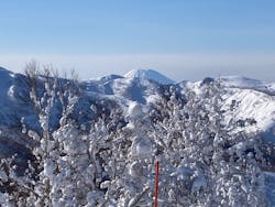 ジェイトリップに投稿された画像（2026/1/29）