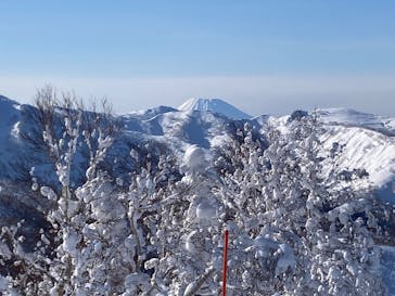 ジェイトリップに投稿された画像（2026/1/29）