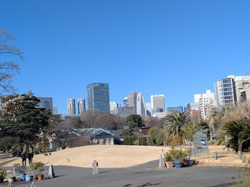 新宿御苑に投稿された画像（2026/1/29）