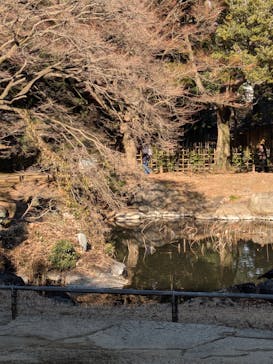 東京国立博物館に投稿された画像（2026/1/29）