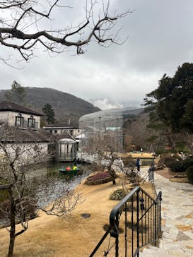 箱根ガラスの森美術館に投稿された画像（2026/1/29）