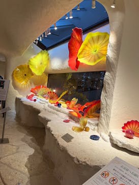 箱根ガラスの森美術館に投稿された画像（2026/1/29）