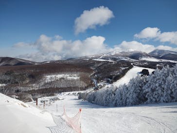 菅平高原スノーリゾートに投稿された画像（2026/1/29）